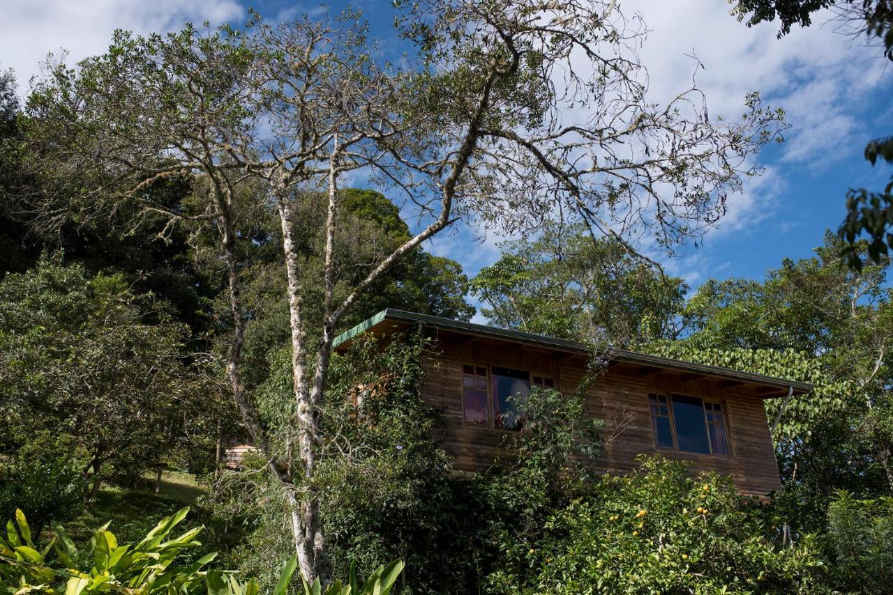 Cedrela Eco-Lodge & Restaurante Copey Exterior foto