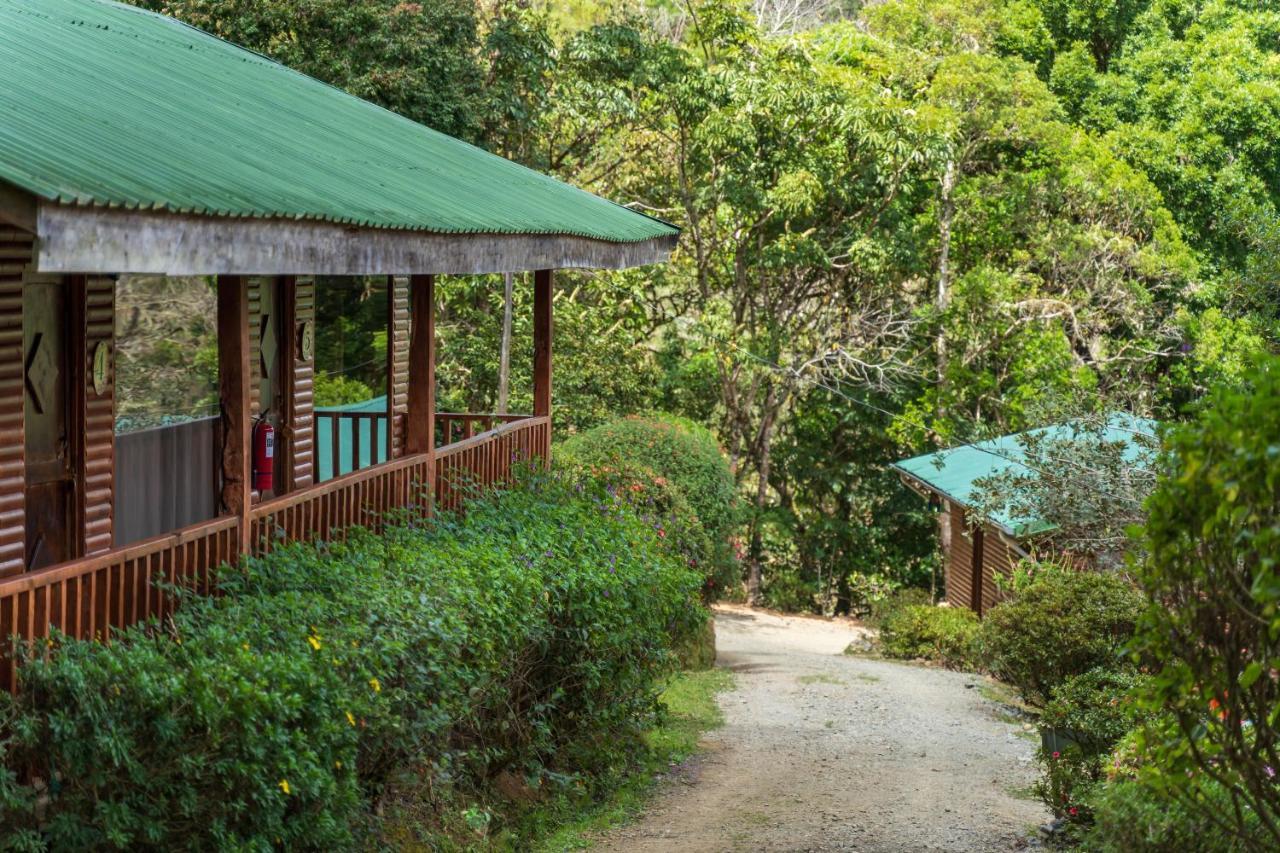 Cedrela Eco-Lodge & Restaurante Copey Exterior foto